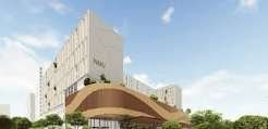 Joy University